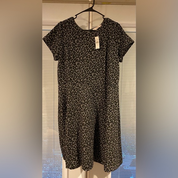 NWT Loft leopard print fit and flare dress. SZ 14 - Picture 1 of 4